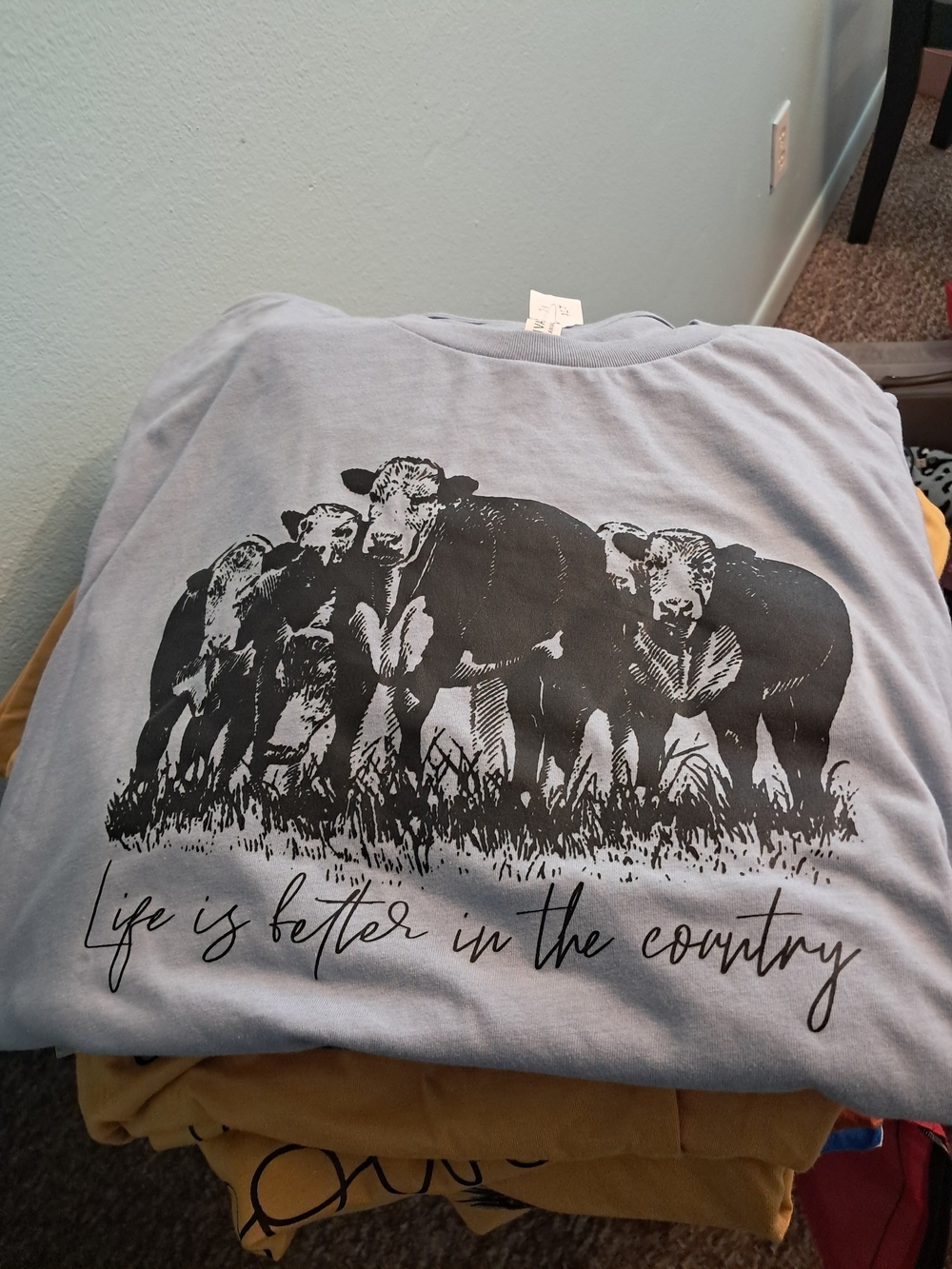 Women's Light Blue Graphic Tee - Life Is Better in the Country